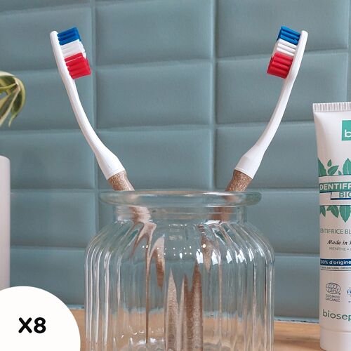 Recharges pour brosse à dents à tête interchangeable BBR – Edith – x 2 têtes souple