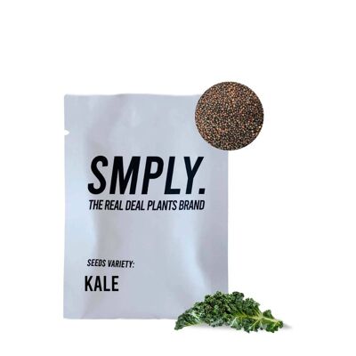 Semillas de Kale