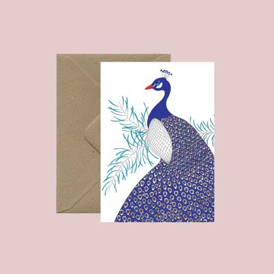 Peacock postcard - with recycled envelope and transparent biodegradable bag