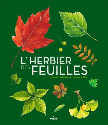 Livre d'activités - L'herbier des feuilles