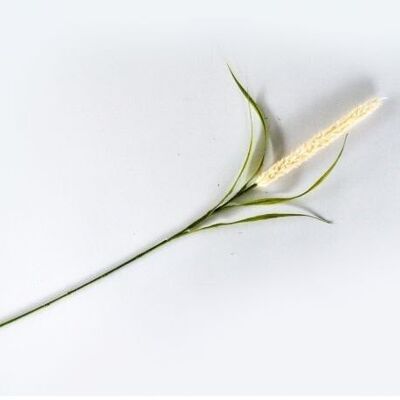 Floral decoration - Cream cat tail - 94cm - Artificial flowers
