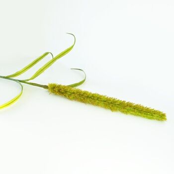 Décoration florale - Queue de chat vert - 94cm - Fleurs artificielles 10
