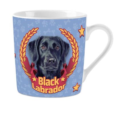 Mok Black Labrador