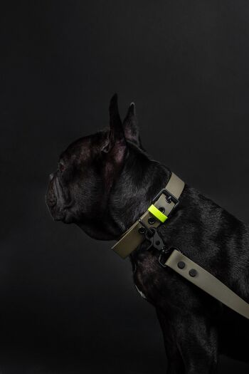 Collier pour chien en cuir végétalien 38