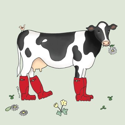 Vache curieuse Holsein / Fresian