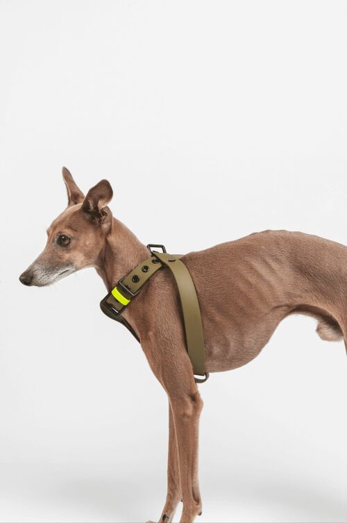 Escape Proof Dog Harness
