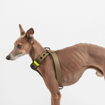 Escape-proof dog harness chest harness