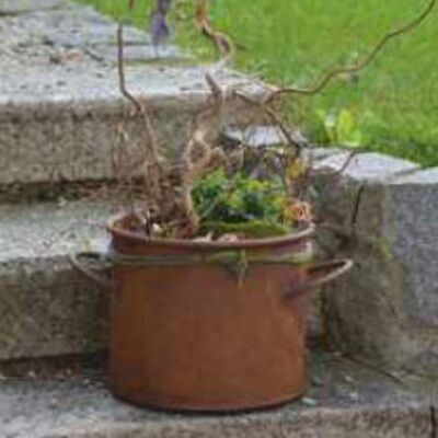 Maceta decorativa oxidada para plantar | Maceta como decoración de jardín vintage.