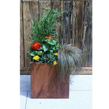 Jardinière de décoration de jardin | 48x48x48cm | Bac décoratif patiné pour plantation directe 2