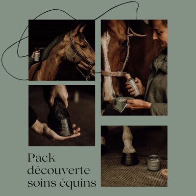 Pack découverte soins pour chevaux