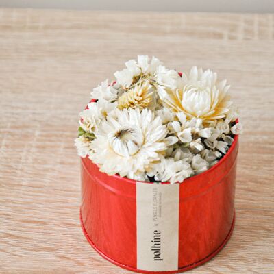 Caja de flores secas - Rojo