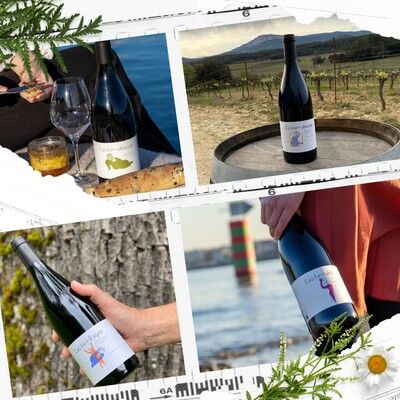 Christmas special: Languedoc red wine box - 6 vintages - AOP Pic Saint-Loup - IGP Saint-Guilhem-le-Désert