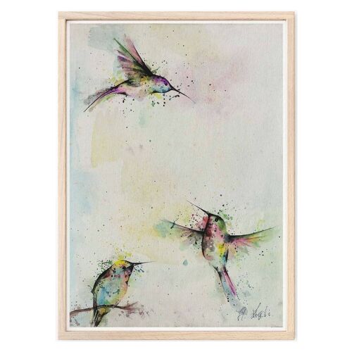 Kunstdruck [Fine Art Papier]  - Drei Kolibris - A3