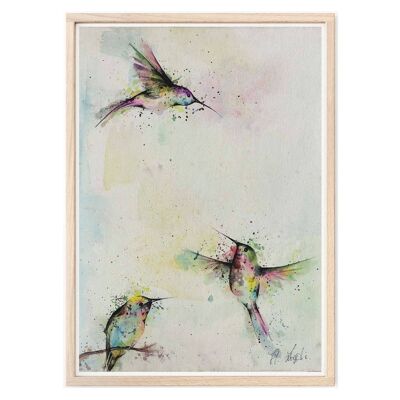 Art Print [Fine Art Paper] - Three Hummingbirds - A4
