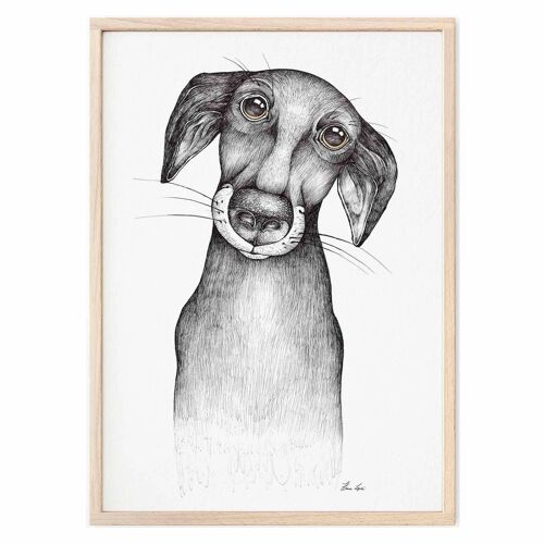 Kunstdruck [Fine Art Papier]  - Jürgen (Hund) - A3