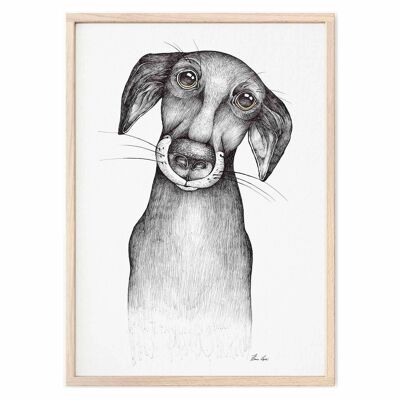 Kunstdruck [Fine Art Papier]  - Jürgen (Hund) - A4