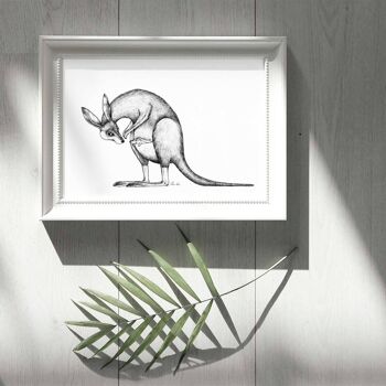 Tirage d'art [Papier Fine Art] - Kangourous - A4 5