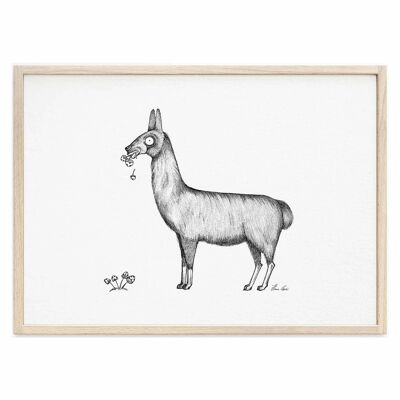 Lámina [Papel de Bellas Artes] - Llama - A3