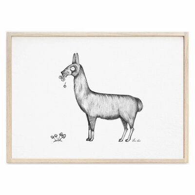 Art Print [Fine Art Paper] - Llama - A3