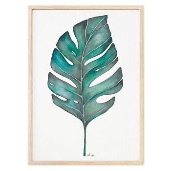 Impression d'art [Papier Fine Art] - Monstera - A3 4