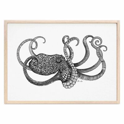 Kunstdruck [Fine Art Papier]  - Oktopus - A3