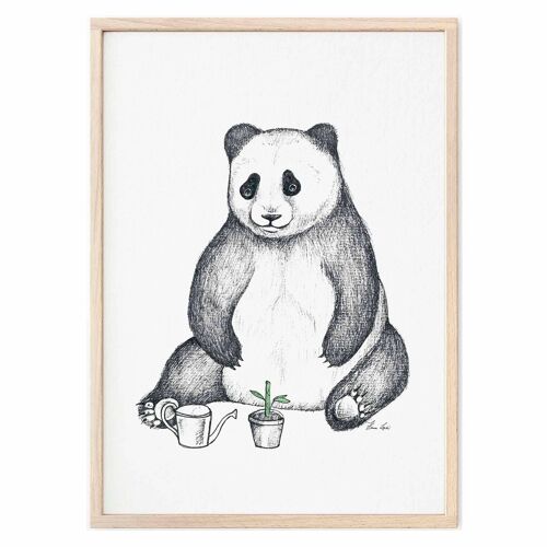 Kunstdruck [Fine Art Papier]  - Panda - A4
