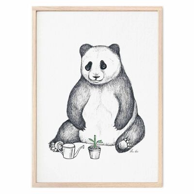 Lámina [Papel de Bellas Artes] - Panda - A4