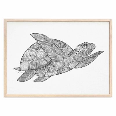 Kunstdruck [Fine Art Papier] - Schildkröte - A3