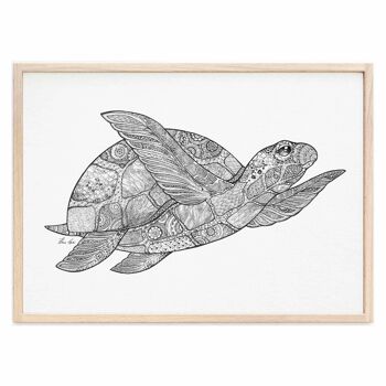 Tirage d'art [Papier Fine Art] - Tortue - A4 1