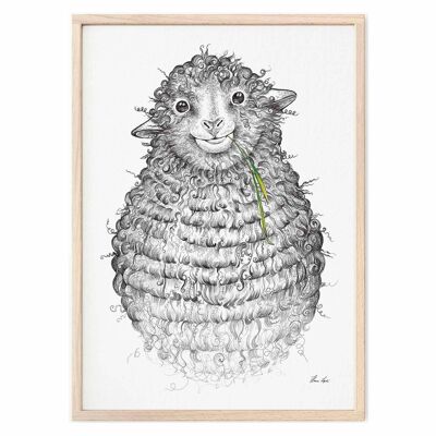 Impression d'art [Papier Fine Art] - Wollfried (Mouton) - A3