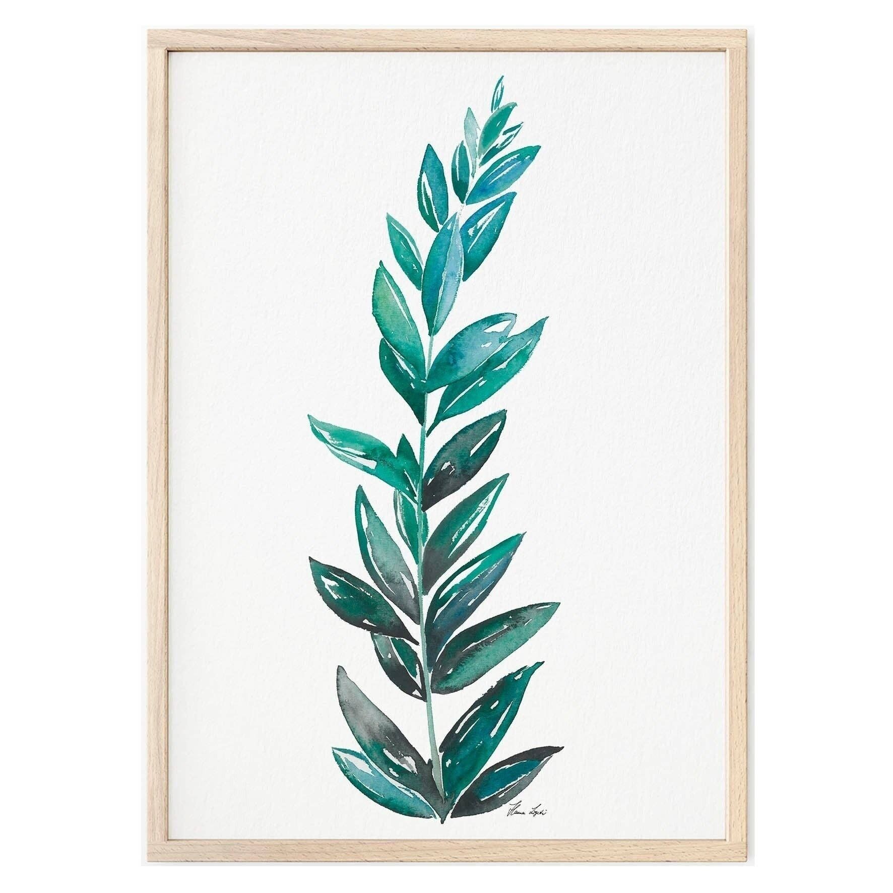 Stampa artistica [Carta per belle arti] - Zamioculcas - A4
