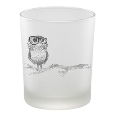 Lantern - Spectacled Owl