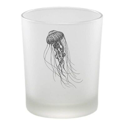 Lantern - deep-sea jellyfish
