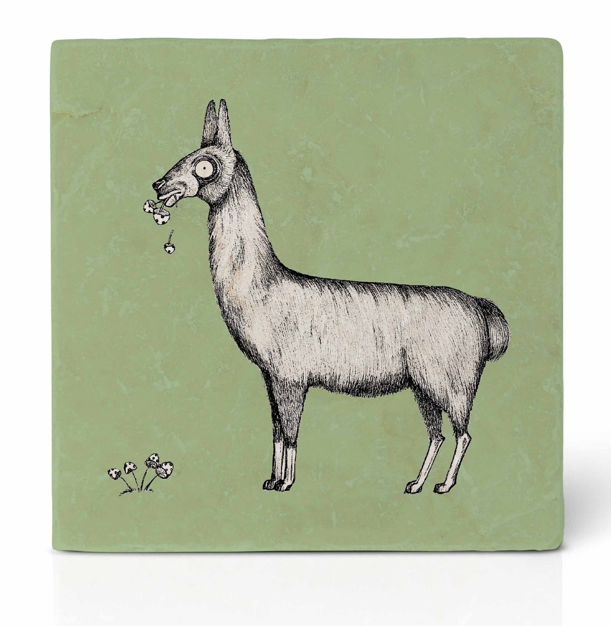 Posavasos de azulejos [piedra natural] - Lama