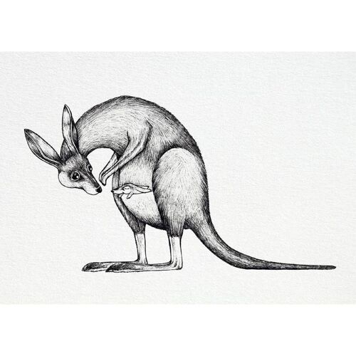 Postkarte [Bambuspapier] - Känguru