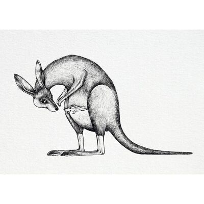 Postcard [bamboo paper] - kangaroo