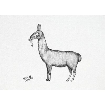 Postcard [bamboo paper] - Llama
