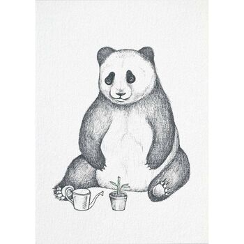 Carte Postale [Papier Bambou] - Panda 5