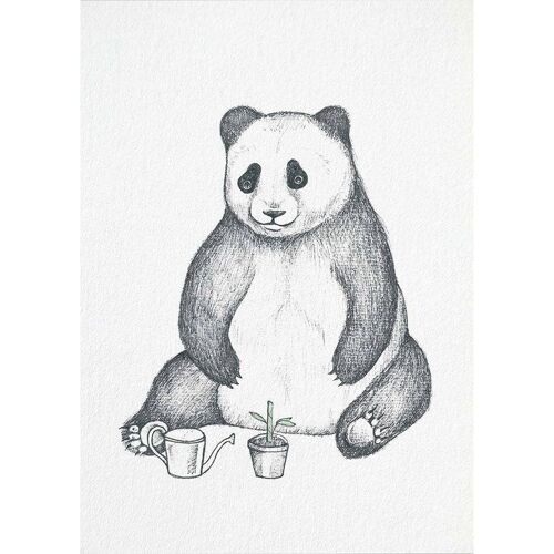 Postkarte [Bambuspapier] - Panda