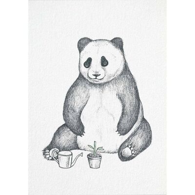 Postal [Papel Bambú] - Panda