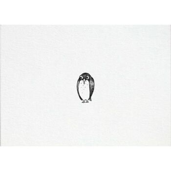 Carte Postale [Papier Bambou] - Drame Pingouin 5