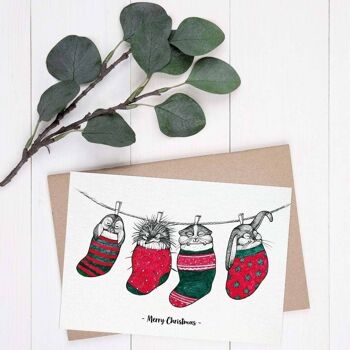 Carte postale [papier bambou] - animaux chaussettes 6