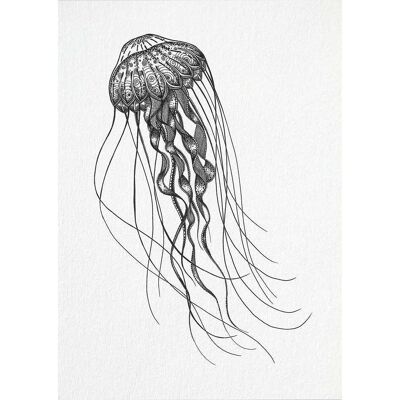 Postcard [bamboo paper] - deep-sea jellyfish