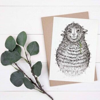 Carte postale [papier bambou] - Wollfried (mouton) 2