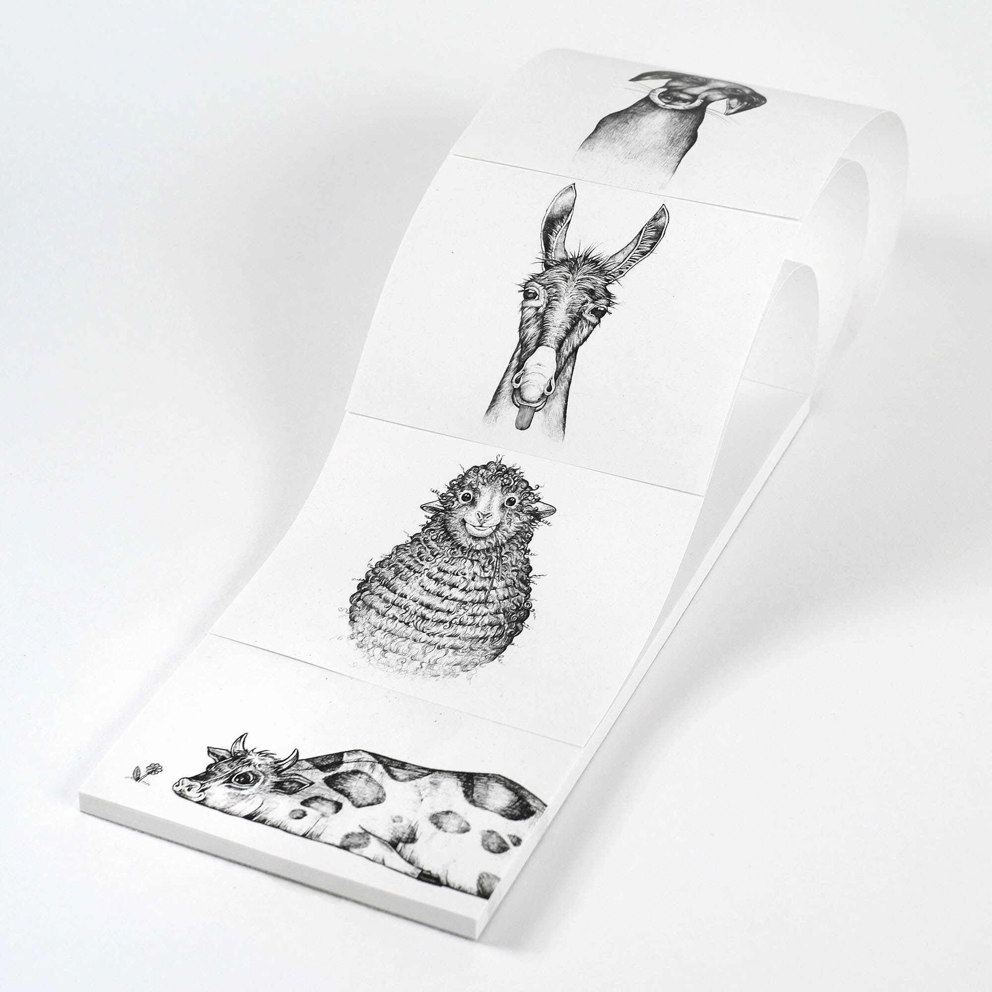 Blocco note [riciclaggio] - Fattoria Quartetto