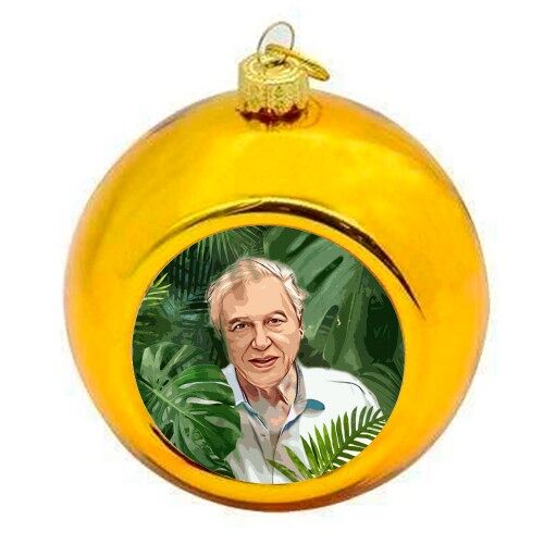 Christmas Baubles 'David in the Jungle'