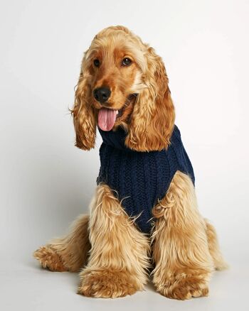 John B. Navy Pull en laine mérinos et cachemire Dog Winter 1