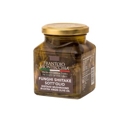 Hongos shiitake en aceite