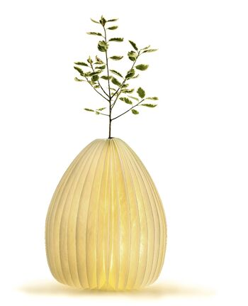 Smart Vase Bois de noyer naturel clair 3