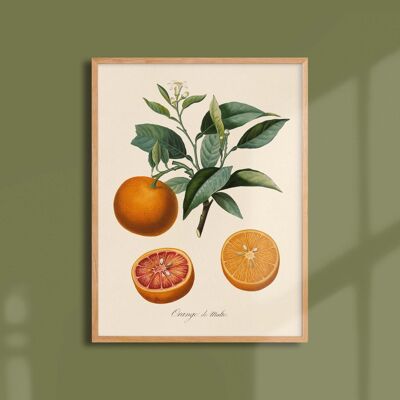 Poster 30x40 - Malteser Orange